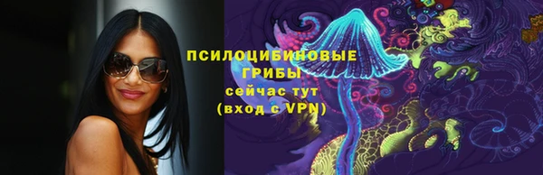 прущие грибы Верхнеуральск