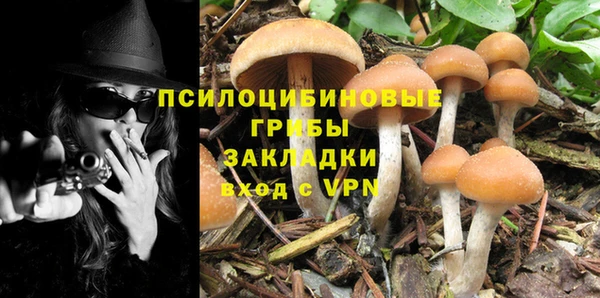 дмт Лабытнанги