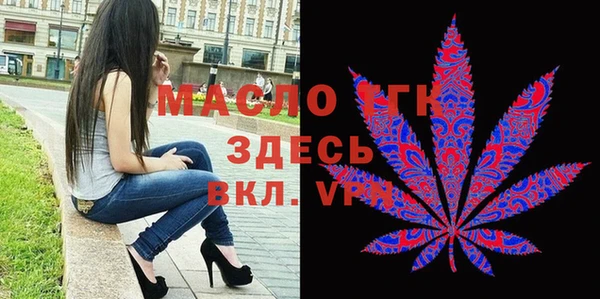 дмт Лабытнанги