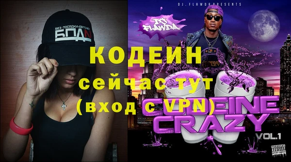 дмт Лабытнанги